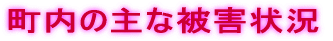 町内の主な被害状況
